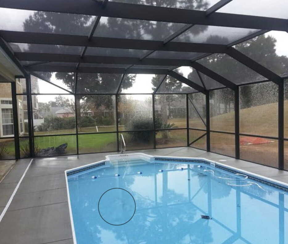  Pool cage and a wide range of custom designs and options to fit your style and budget 